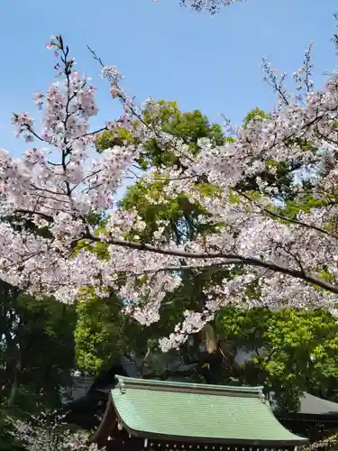 若宮八幡社(愛知県)