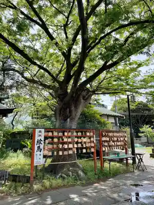 久里浜天神社(神奈川県)