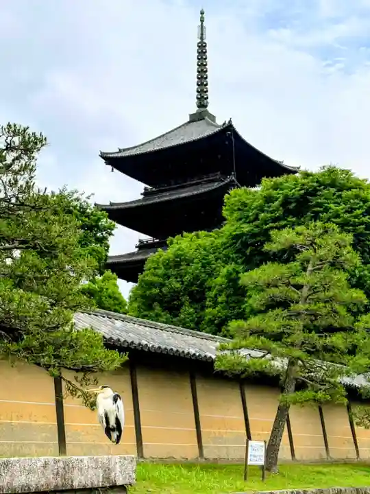 東寺(教王護国寺)の塔
