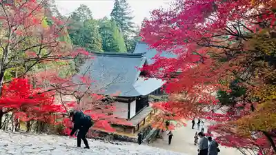 神護寺(京都府)