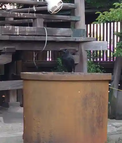 荏原神社(東京都)