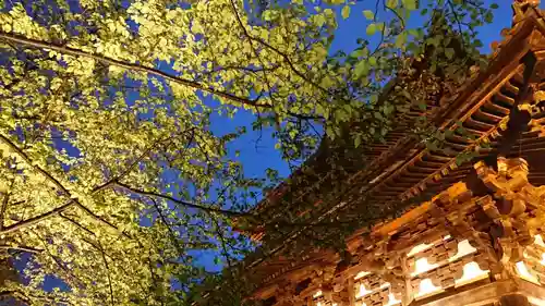 東寺（教王護国寺）のその他建物