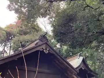八坂神社の本殿・本堂