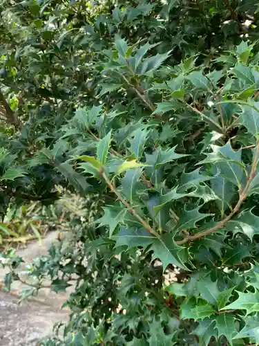 仁井田神社の自然