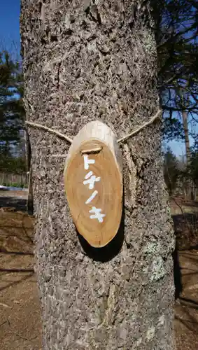 雨紛神社のその他建物