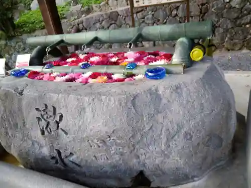 岡寺（龍蓋寺）の手水舎