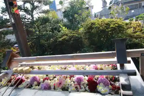 豊景神社の手水舎