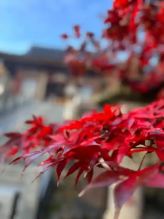 武蔵御嶽神社(東京都)