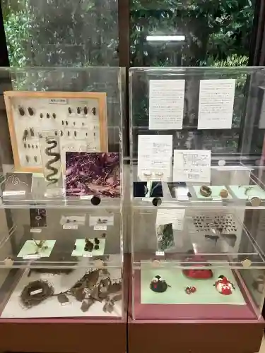 鞍馬寺(京都府)