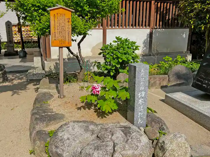 櫛田神社の自然