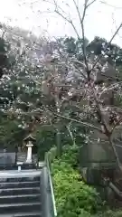 日枝神社の自然