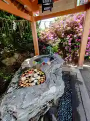 廣田神社～病厄除守護神～(青森県)