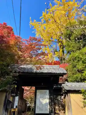 蓮華寺(洛北蓮華寺)の山門・神門