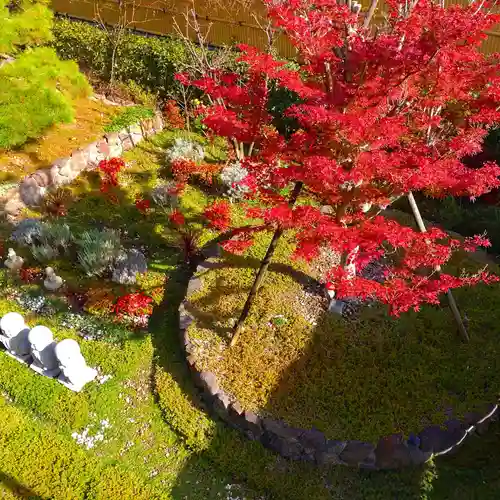 寿量山　速成寺の自然