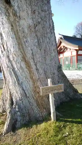 北海道護國神社の自然