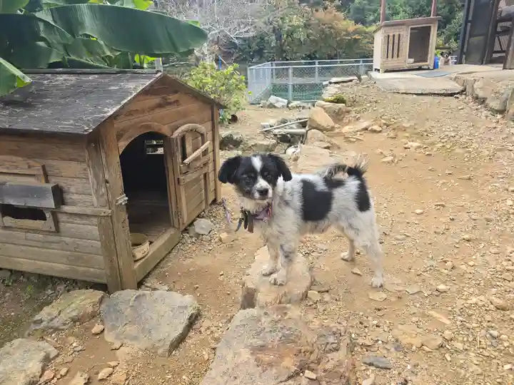 天台宗 五大山 白毫寺(兵庫県)