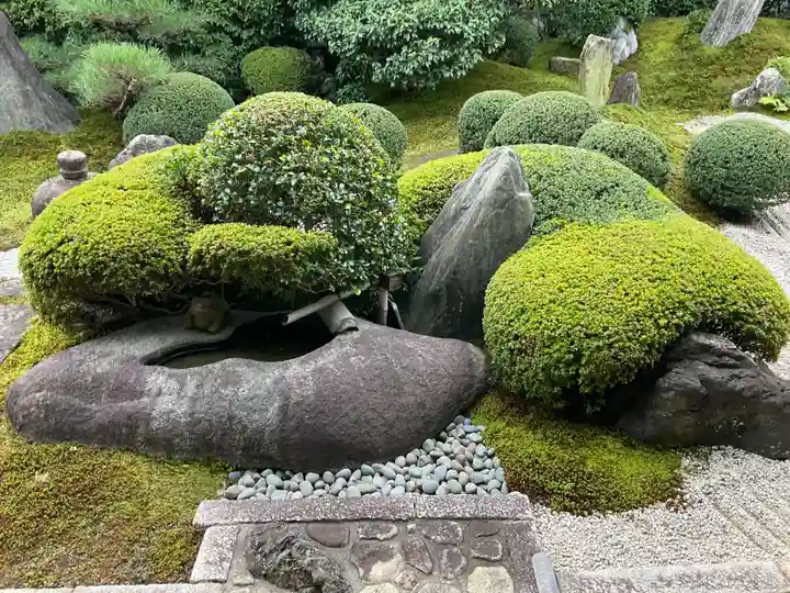 霊雲院(京都府)