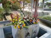 曼荼羅寺の手水舎