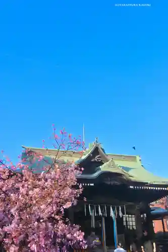 桜神宮(東京都)