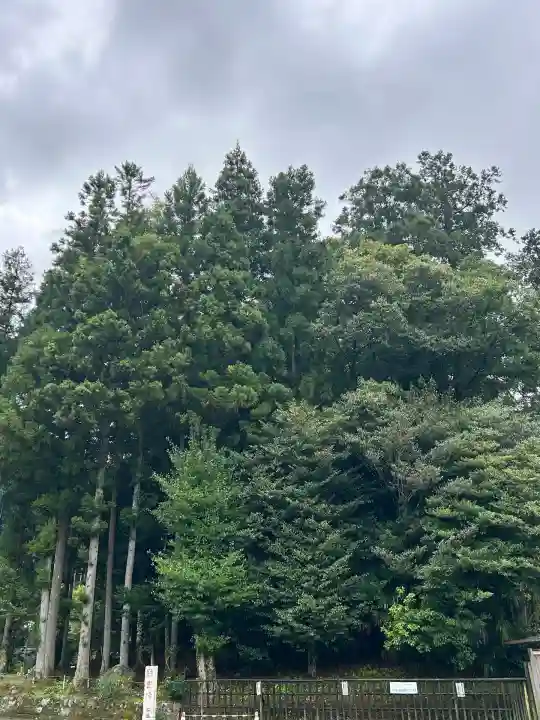 天河大辨財天社(奈良県)