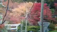 宗忠神社の自然