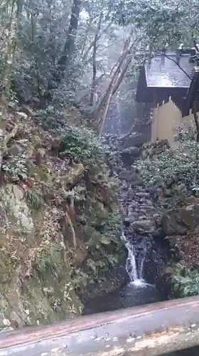 多度大社の自然