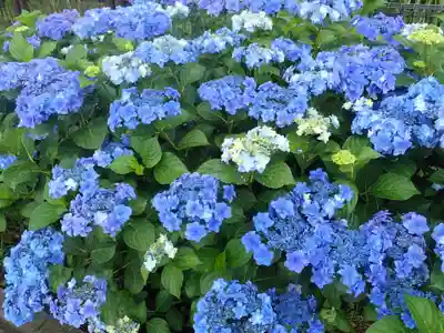 瀬戸神社(神奈川県)