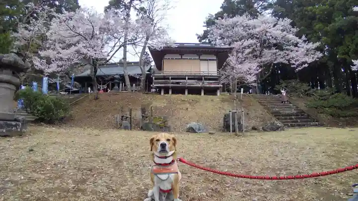 土津神社|こどもと出世の神さまの動物