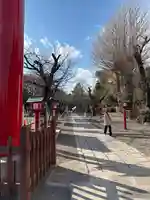 鷲宮神社(埼玉県)