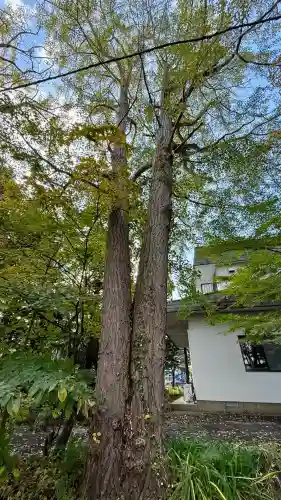 有川大神宮(北海道)