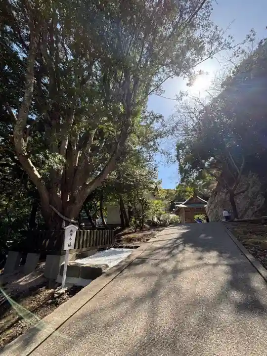 安房神社の{uncategorized: "未分類", other: "その他", undefined: "問題あり", building: "その他建物", grave: "お墓", sacred_gate: "鳥居", guardian: "狛犬", statue: "像", buddha: "仏像", history: "歴史", nature: "自然", garden: "庭園", animal: "動物", pagoda: "塔", temizu: "手水舎", mountain_gate: "山門・神門", sanctuary: "本殿・本堂", subordinate: "末社・摂社", art: "芸術", scenery: "景色", jizo: "地蔵", ema: "絵馬", goshuin: "御朱印", omikuji: "おみくじ", items: "授与品その他", amulet: "お守り", goshuincho: "御朱印帳", eats: "食事", festival: "お祭り", votive_dance: "神楽", shichigosan: "七五三参", wedding: "結婚式", experience: "体験その他", initially: "初詣", around: "周辺", anti_infection: "感染症対策"}