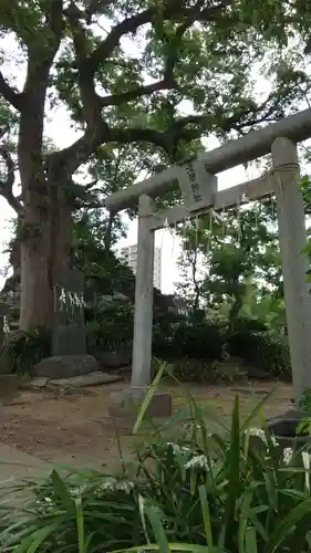 飯香岡八幡宮の鳥居