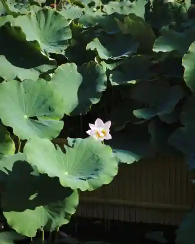 善光寺大勧進(長野県)