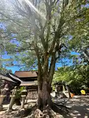 藤森神社(京都府)