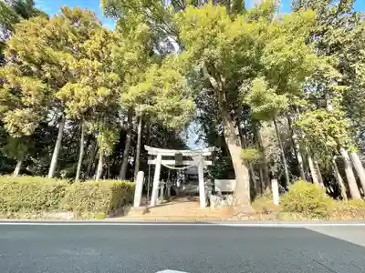 蛭子神社(滋賀県)