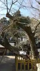 水戸八幡宮の建物その他