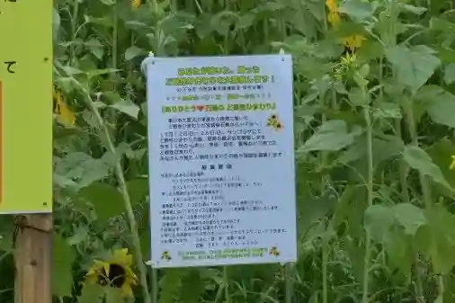 沢山神社(澤山神社)(新潟県)