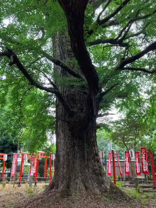 鬼子母神堂 (法明寺)(東京都)