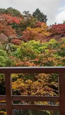 実相院門跡(京都府)