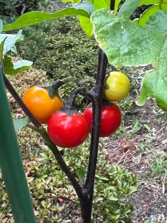 豊景神社(福島県)
