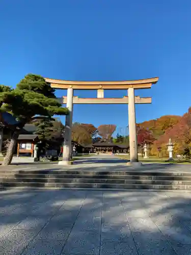 長野縣護國神社の鳥居