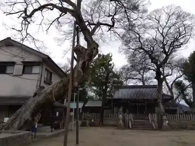 皇大神社(兵庫県)