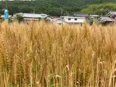 新次神社(兵庫県)