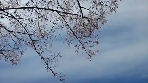 高幡不動尊　金剛寺の景色