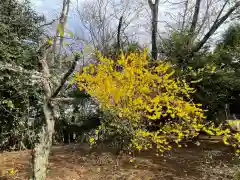 大生郷天満宮の自然