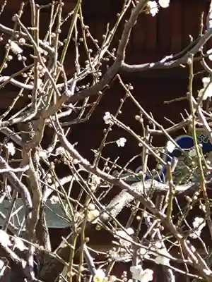 湯島天満宮(東京都)