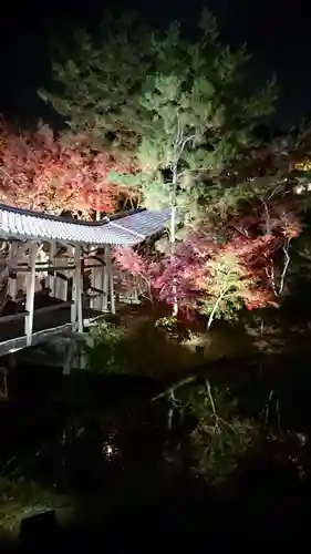高台寺（高台寿聖禅寺・高臺寺）の庭園