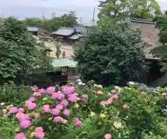 性海寺の建物その他