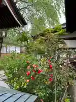 長光寺(長野県)