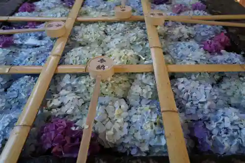 土津神社｜こどもと出世の神さまの手水